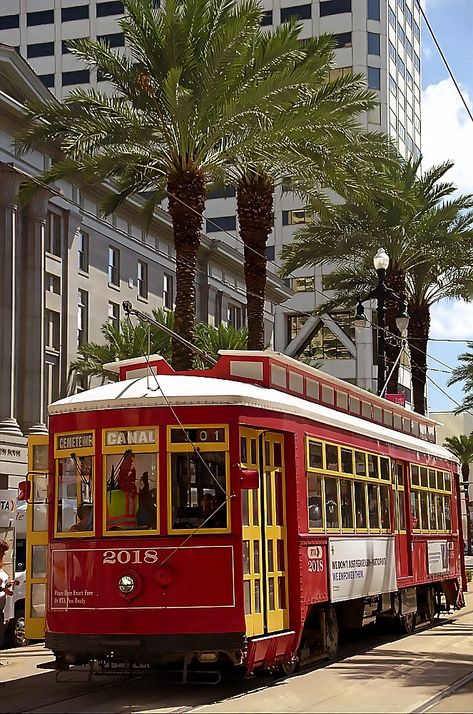 Louisiana French Quarter, New Orleans Trolley, New Orleans Aesthetic French Quarter, New Orleans Street Car, New Orleans Aesthetic, New Orleans Photography, New Orleans Street, New Orleans Decor, Bayou Country