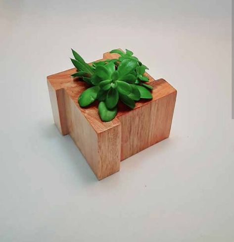 Wooden Succulent Planter, Diy Projects Wood, Wood Working Ideas, Wooden Plant Pots, Pins Ideas, Plant Pot Diy, Wood Pots, Diy Planter Box, Small Wooden Boxes