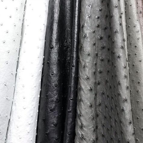 Pan American Leathers on Instagram: “Greyscale or technicolor? ♥️❤️🧡💛💚💙💜🖤🤍 #OstrichSkin #OstrichLeather #Ostrich #SustainableFashion #ExoticSkins #ExoticLeather #Exotics…” Trend Accessories, Burlesque Costume, Pan American, Ostrich Leather, American Leather, December 12, Dog Chews, Online Shops, Leather Craft