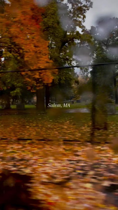 Salem, Massachusetts in October 🎃🍂 #halloween #salem #massachusetts #october #fall #autumn #fyp #parati #octubre #fallaesthetic #rain #autumnvibes #cozy #pumpkin #diadebrujas #brujas #calabaza #halloweeninsalem #halloweeninmassachussetts #halloweenintheusa Fall In Salem, Halloween Salem Massachusetts, Salem Massachusetts Aesthetic, Salem Massachusetts In October, Salem Massachusetts October, Massachusetts Aesthetic, Achieving Dreams, Board Manifestation, Board Pictures