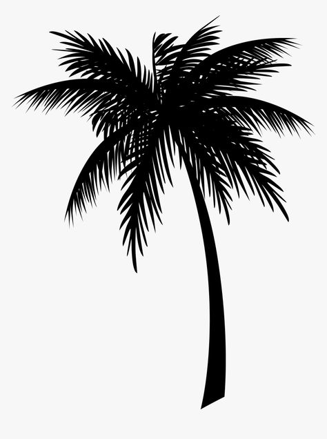 Tree Drawing Easy, Coconut Clipart, Coconut Tree Drawing, Clip Drawing, Palm Tree Clip Art, Transparent Drawing, Drawing Leaves, Silhouette Trees, Palm Tree Png