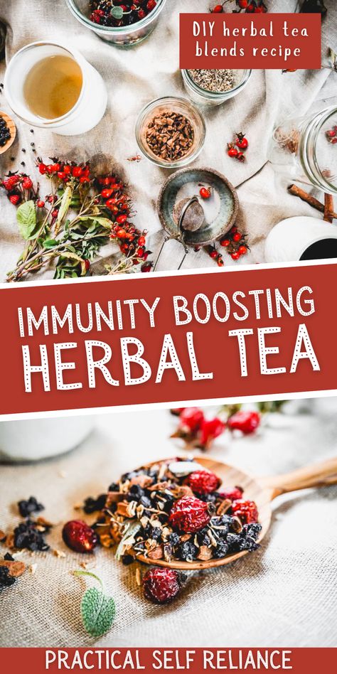 Tea For Winter, Healing Tea Recipes, Herbal Tea Recipes Homemade, Tea Recipes Homemade, Immunity Tea, Tea Blending, Elderberry Tea, Tea Blends Recipes, Herbal Drink