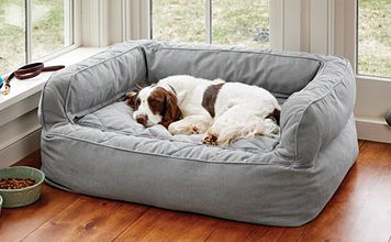 Couch Dog Bed, Dog Bed Medium, Dog Beds For Large Dogs, Big Dog Beds, Comfy Dog Bed, Dog Couch Bed, Dog Bed Sizes, Cute Dog Beds, Medium Dog Bed