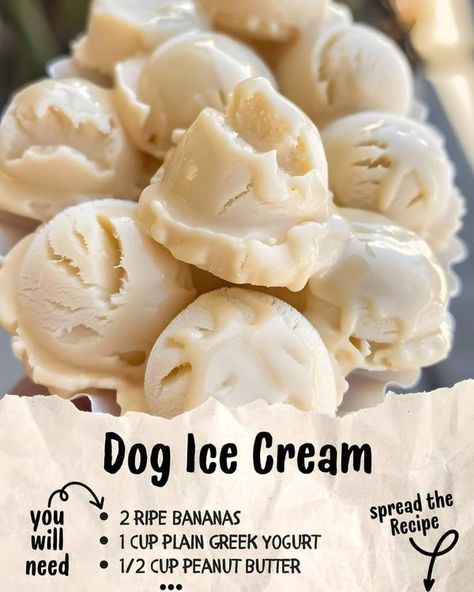 lidia bastianich | Dog Ice Cream 🍦🐾 | Facebook Dog Ice Cream Recipe, Foods Dogs Can Eat, Pet Treats Recipes, Easy Dog Treat Recipes, Dog Treats Homemade Easy, Dog Biscuit Recipes, Dog Ice Cream, Easy Dog Treats, Healthy Dog Treats Homemade