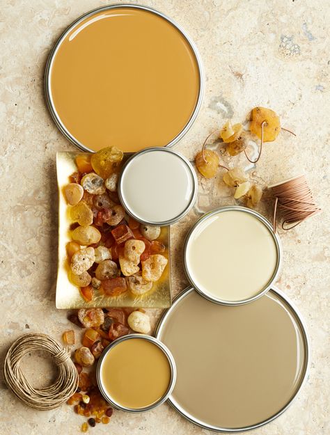 Yellow And Taupe Color Palette, Purple Paint Colors, Top Paint Colors, Yellow Paint Colors, Best Interior Paint, Matching Colours, Perfect Paint Color, Neutral Paint Colors, Favorite Paint Colors