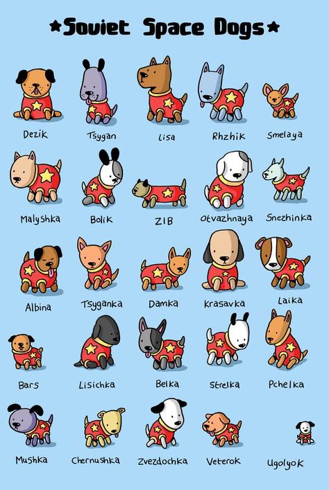 Soviet Space Dogs... Malyshka Soviet Space Dogs, Dog In Space, Belka And Strelka, Laika Dog, Space Dogs, Dog Infographic, Space Animals, Space Dog, Lion Dog