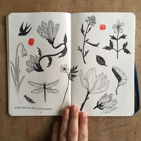 Botanical Illustration Sketchbook, Botanical Journal Sketch Books, Floral Sketchbook Ideas, Botanical Drawings Sketchbooks, Plant Sketchbook, Sketchbook Composition, Drawing Ideas Creative Sketchbooks, Sketchbook Flowers, Drawing Diary