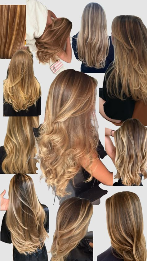 honey blonde highlights 🫶 #hair #hairinspo #hairstyles #highlights Caramel Highlights Dark Blonde Hair, Blond Hair Types, Salted Caramel Highlights, Honey Highlights With Money Piece, Honey Toned Highlights, Caramel Blonde With Highlights, Highlites Blonde Hair, Layered Hair With Blonde Highlights, Highlights On Honey Blonde Hair