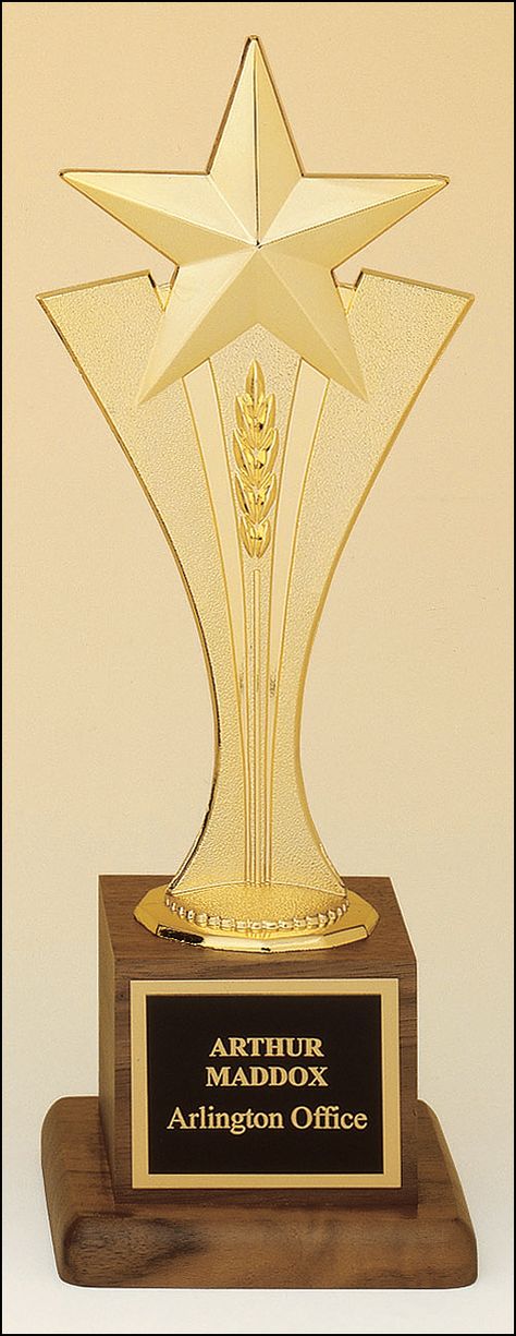 Trophy Ideas, Acrylic Trophy, Award Trophy, Certificate Background, Award Display, Glass Awards, Plaque Design, Acrylic Awards, Crystal Awards