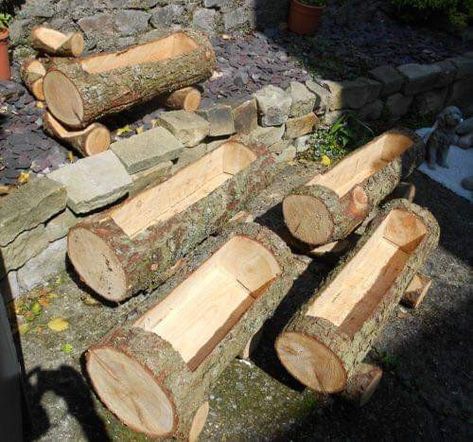 Log Planters, Log Crafts, Log Ideas, Log Planter, نباتات منزلية, Tree Stumps, Front Yard Landscaping Plans, Front Yard Landscaping Simple, Front House Landscaping