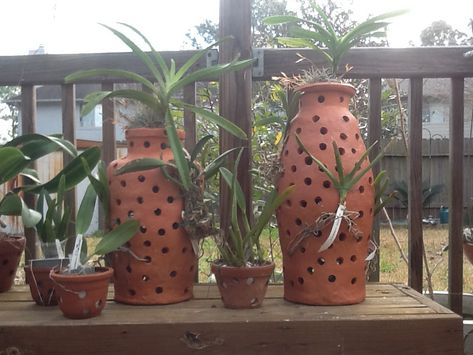 Orchids Arrangements, Clay Orchid Pots, Chicken Wire Ghost, Diy Orchids, Water Vase, Terracotta Vases, Orchids In Water, Orchid Pots, Orchid Plant Care