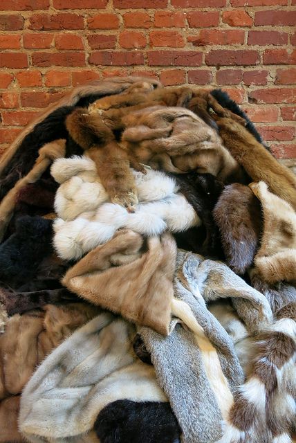 Repurposed Fur Coats Ideas, Old Fur Coat Upcycle, Fur Coat Repurpose Ideas, Repurpose Fur Coat, Repurpose Fur Coat Diy Ideas, Snow Bedroom, Viking Bedroom, Losing Hope, Raccoon Fur Coat