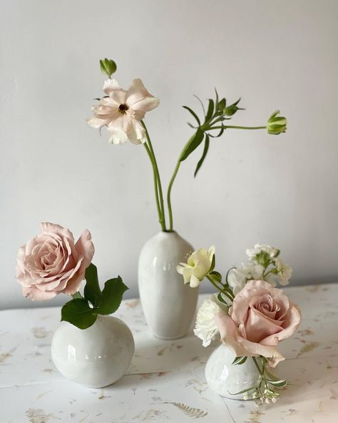 Bud Vase Rose, Roses Bud Vases, Ranunculus Bud Vases Wedding, Bud Vase Ranunculus, Blush Bud Vases, White Rose Bud Vase, Flower Subscription, Blush Palette, Blush Flowers