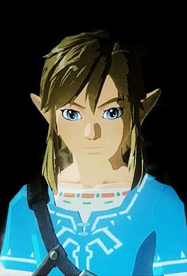 Link Smiling, Legend Of Zelda Gif, Mipha Botw Gif, Link Gif, Botw Link Screenshots, Botw Screencaps, Link Breath Of The Wild Screenshots, Botw Zelda, Shigeru Miyamoto