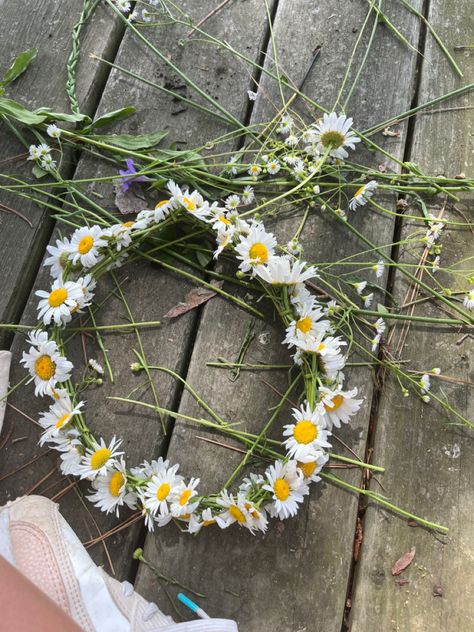 #diy Flower Crown Daisy, Flower Crown Picnic, May Day Aesthetic, Ghibli Spring, Aesthetic Flower Crown, Flower Crown Aesthetic, Daisy Flower Crown, Daisy Crown, Crown Aesthetic