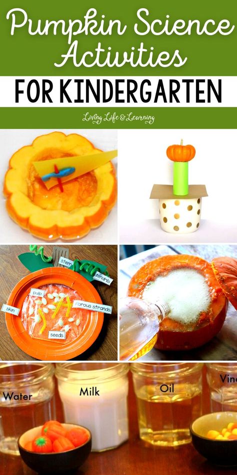 Pumpkin Kindergarten Activities Pumpkin Stations Kindergarten, Pumpkin Ideas For Preschoolers, Pumpkin Stem Activities Kindergarten, Pumpkin Unit For Kindergarten, Halloween Ideas For Kindergarten, Pumpkin Lessons Kindergarten, Pumpkin Science Kindergarten, Pumpkin Investigation Kindergarten, Pumpkin Theme Kindergarten