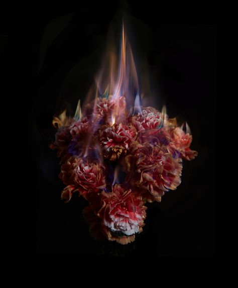 Burning Flowers, Gothic Flowers, Growth And Decay, Flowers Abstract, Fire Photography, Fire Flower, Dark Photography, Photography Projects, British Artist