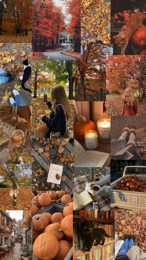 #aesthetic#fall#autumn Fall Esthetics, Fall Astethic, Theme Dress, Aesthetic Fall, Fall Aesthetic, Fall Autumn, Dress To Impress