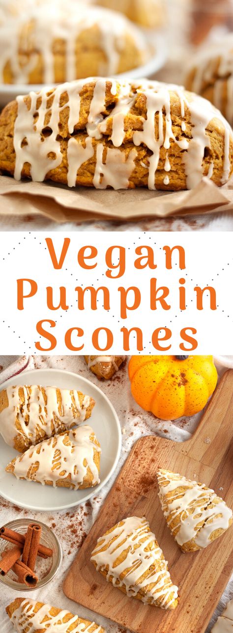 Vegan Pumpkin Scones, Scones Pumpkin, Scones Vegan, Pumpkin Scones Recipe, Vegan Scones, Future Chef, Vegan Pumpkin Recipes, Sweet Glaze, Pumpkin Scones