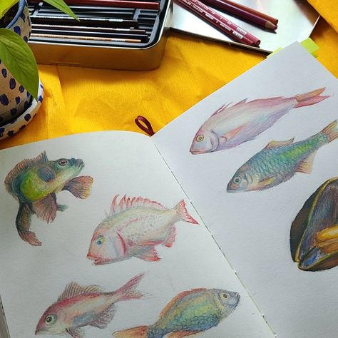 An illustration of fish using colored pencil in a sketchbook Coloured Pencil Illustration, Sea Drawing Pencil Color, Fish Drawing Colour, Fish Color Pencil Drawing, Colored Pencil Sea Animals, Colored Pencil Doodles, Fish Pencil Drawing, Fish Sketchbook Pages, Color Pencil Sketch