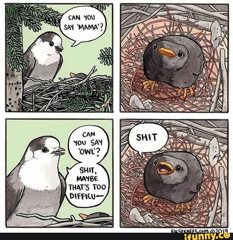 Clean Funny Memes, 4 Panel Life, Funny Animal Comics, Clean Memes, Image Macro, Cute Comics, Comic Artist, Comic Strip, Bored Panda