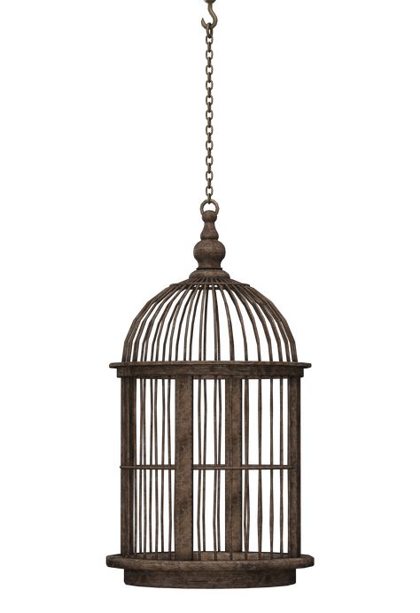 Boston Interior Design, Cage Bird, Boston Interiors, Modern Boho Living Room, Black Cage, Living Room Shop, Diy Home Improvement, Image House, Bird Cage