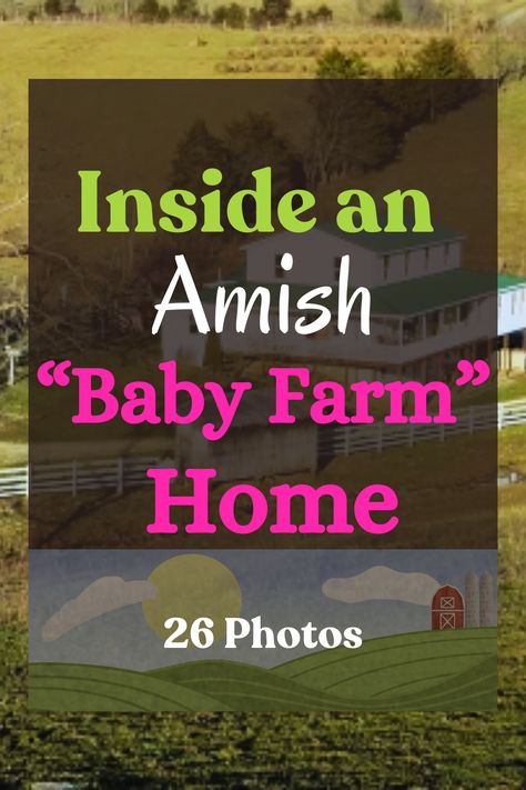 I hadn’t heard the term “baby farm” before coming across it in this listing, and I’m not sure if the Amish would use it themselves (I doubt it). But that’s how this home, one of the seven Hillsboro, KY Amish homes for sale, is described. Let's take a closer look. Amish Garden Layout, Farm Stead, Farm Core, Mennonite Recipes, Amish House, Amish Farm, Richest In The World, Amish Recipes, Daily Facts