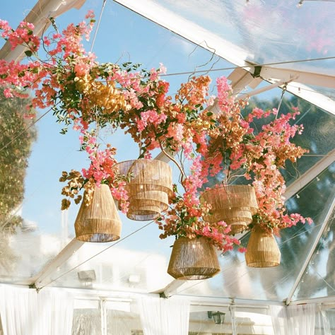 A beautiful arch made of lush pink, orange, and red flowers, elegantly framing a table, adding warmth and a bold pop of color to the setup. Hanging Basket Lights: Natural wicker pendant lights suspended from the ceiling add a rustic and bohemian touch. The lights complement the floral arrangements and bring a cozy, intimate atmosphere. Canopy and Drapery: The clear canopy allows natural light to flood the space, creating an airy ambiance. Flowing white drapes add a sense of elegance and sof... Floral Roof Installation Wedding, Hanging Baskets Wedding Decor, Hanging Basket Lights, Flower Chandelier Wedding, Brownies Wedding, Wicker Pendant Lights, Tropical Elegant Wedding, Basket Lights, Boho Lanterns