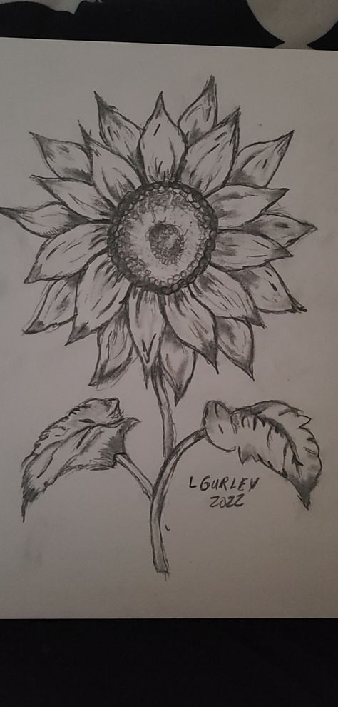 Sunflower Drawing Sketch, Cool Sunflower Drawings, Butterfly And Sunflower Drawing, Drawing Ideas Easy Flowers Step By Step, Simple Floral Sketch, Sceches Drawing Pencil Easy, Drawing A Sunflower, Sketching Sunflowers, Sunflower Easy Drawing