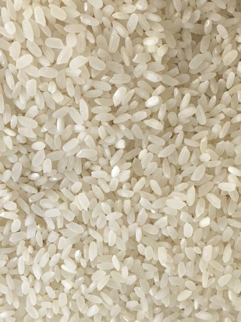 Rice Wallpaper, Flavor White Rice, Rice Aestethic, Rice Photography, Rice Photo, Rice Image, Rice Grain Photography, Rice Aesthetic White, Grass Species