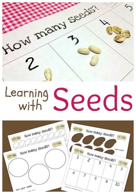 Printable Activity for Learning Math with Seeds http://theeducatorsspinonit.com Tiny Seed Activities, Seeds Preschool, Seed Activities, Eric Carle Activities, Science Concepts, Preschool Garden, Plants Unit, The Tiny Seed, Learn Math