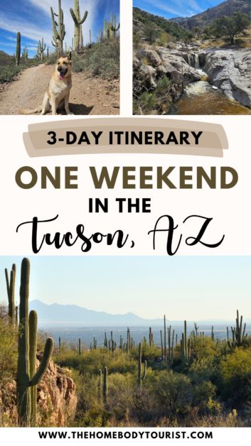 one weekend in tucson, arizona pin for pinterest Downtown Tucson Arizona, Tucson Arizona Things To Do, Tucson Arizona Aesthetic, Tuscon Az, Arizona Aesthetic, Arizona Living, Adventurous Things To Do, Arizona Vacation, Arizona Photography