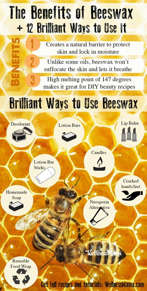 Benefits of Beeswax Benefits of Beeswax [Plus, 12 Creative Ways to Use It] Beeswax Benefits, Diy Potions, Beeswax Recipes, Wellness Mama, Homemade Lotion, Hair Diy, Diy Beauty Recipes, Precious Gift, Skin Hair