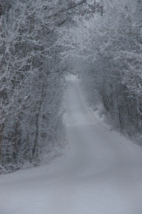 tarantule I Love Snow, I Love Winter, Winter Love, Winter Magic, Winter Scenery, Winter Beauty, Snow And Ice, Snow Scenes, Snowy Day