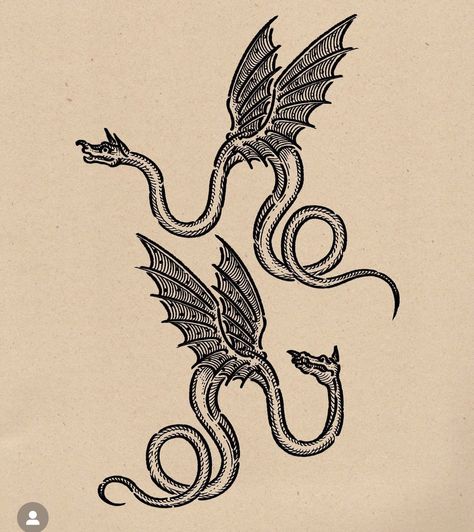 Horrible Tattoos, Master Tattoo, Dragons Tattoo, Woodcut Tattoo, Two Dragons, Medieval Tattoo, Medieval Drawings, Engraving Tattoo, Medieval Dragon