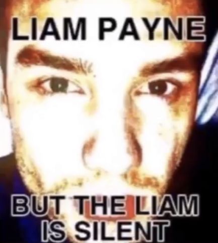 july 23 Response Memes, One Direction Humor, One Direction Memes, One Direction Pictures, I Love One Direction, Meme Faces, Liam Payne, Funny Laugh, Reaction Pictures