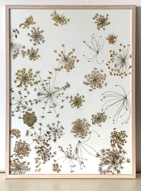 Florist Garden, Hammered Flowers, Pressed Flower Crafts, Pressed Flower Art, New Works, Nature Wall, Leaf Art, All Flowers, Flower Crafts