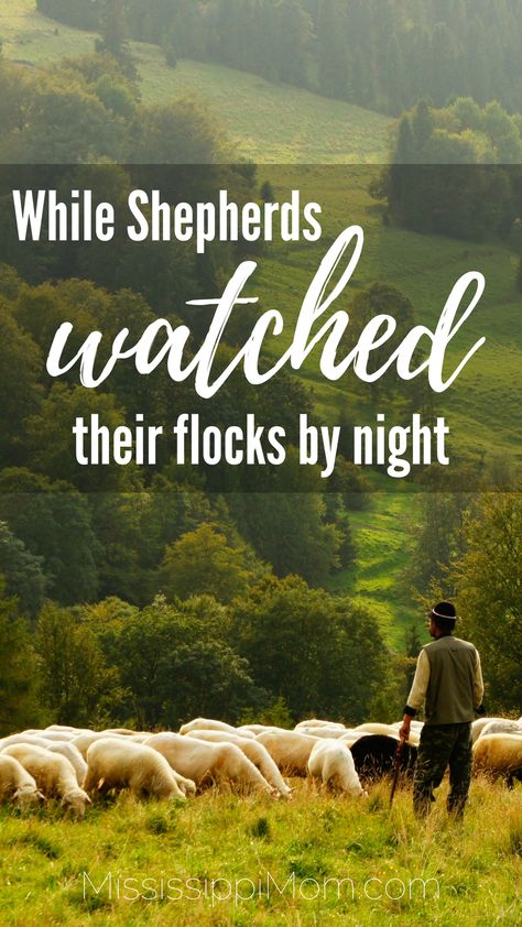 While Shepherds Watched Their Flocks by Night:  25 Days of Christmas Devotions for Your Entire Family Christmas Devotions, Christmas Devotional, In His Arms, The Birth Of Christ, 25 Days Of Christmas, Teachable Moments, The Good Shepherd, Losing Friends, Relief Society