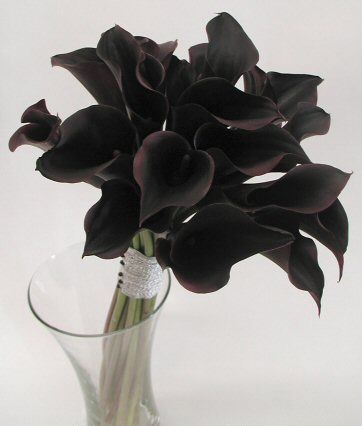 Love this dark twist on the traditional bunch of flowers for your wedding day. - unique black wedding bouquets Black Wedding Flowers, Black Calla Lily, Gothic Wedding Theme, Calla Lily Bouquet, Black Wedding Cakes, Unique Bouquet, Lily Bouquet, Black Garden, Bohol