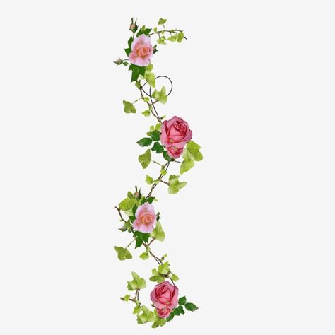 roses,flower,pink,ivy,green,decoration,beautiful,flower border,fresh,floral Pink Flower Border, Rose Vine Tattoos, Ivy Flower, Vine Drawing, Flores Tattoo, Roses Clipart, Green Decoration, Flower Png Images, Ivy Rose