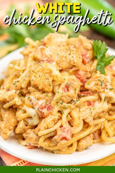 White Chicken Spaghetti, Plain Chicken Recipe, Easy Chicken Spaghetti, Chicken Spaghetti Recipe, Dinner Recepies, Chicken Spaghetti Casserole, Slow Cooker Casserole, Chicken Spaghetti Recipes, Rotel Tomatoes