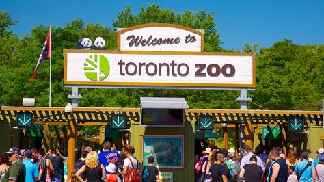 A #zoological wonderland with #animals from all over the globe, #TorontoZoo is easily the biggest #zoo in #Canada allowing 5,000 animals to roam about in their #natural habitats. Healthy Habits Preschool, Go Transit, Conservation Activities, Visit Toronto, Toronto Zoo, Zipline Adventure, Toronto Restaurants, Great Wolf Lodge, In The Zoo