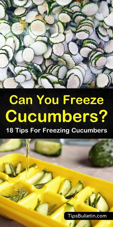 Freeze Cucumbers, Cucumber Ice Cubes, Freezing Cucumbers, Freezer Potatoes, Cucumber Puree, Cucumber Dishes, Homemade Dill Pickles, Recipes Cucumber, Diy Food Storage