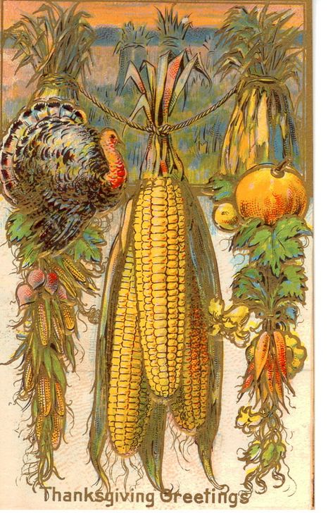 Vintage Thanksgiving Postcard | by bulldoggrrl Vintage Thanksgiving Cards, Thanksgiving Poster, Thanksgiving Pictures, Thanksgiving Blessings, Thanksgiving Images, Thanksgiving Art, Thanksgiving Card, Thanksgiving Greetings, Vintage Thanksgiving