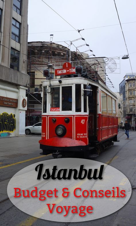 Benoit voulait aller voir le harem du sultan et naviguer sur le Bosphore et moi goûter toutes les baklavas et flâner au grand bazar! Bref à Istanbul on a fait des compromis mais on s'est surtout régalés! On vous dit tout sur notre budget pour découvrir Istanbul en hiver Istanbul In Winter, Blue Mosque Istanbul, Big Bazaar, Travel Wishes, Turkey Destinations, Blue Mosque, Hagia Sophia, Voyage Europe, Turkey Travel