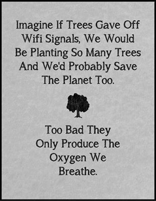 Save Nature Quotes, Nature Quotes Trees, Environmental Quotes, Environment Quotes, Save Planet Earth, Earth Quotes, Tree Quotes, Save Our Earth, Save Nature