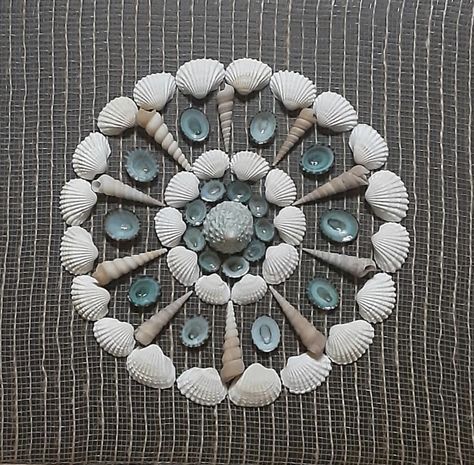 Sea Shell Mosaic, Mandala Shells, Shell Mandala, Seashell Shadow Boxes, Seashell Mosaic, Seashell Display, Seashell Art Diy, Shell Display, Bullet Art