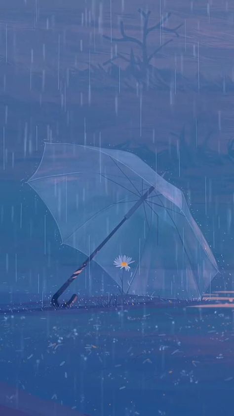 Calm Pfp Aesthetic, Light Blue Asthetics Photos, Blue Asthetics Photos Wallpaper, Anime Rain Aesthetic, Blue Rain Aesthetic, Rain Cover Photo, Blue Asthetics Photos, Blue Asthetics, Whats Wallpaper