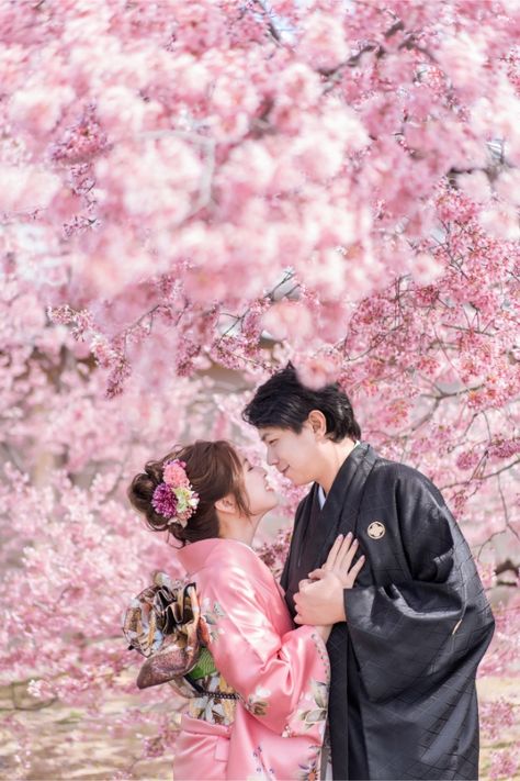 E&V: Kyoto Spring Cherry Blossoms Pre-wedding Photoshoot | Kinosaki | OneThreeOneFour Japan Elopement, Kyoto Spring, Japan Photoshoot, Sakura Wedding, Spring Cherry Blossoms, Japan Wedding, Japanese Couple, Japan Cherry Blossom, Stunning Wedding Photos