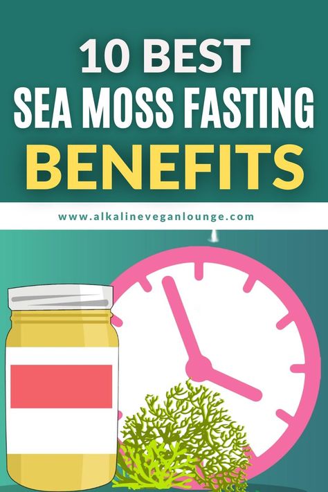 Sea Moss Fasting Benefits Seamoss Benefits, Benefits Of Fasting, Fasting Benefits, Sea Moss, Never Change, Healthy Eating Recipes, Nutrient Dense, A Sea, Vitamins And Minerals